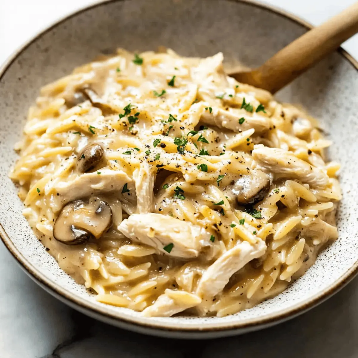 Chicken Marsala Orzo dag47q