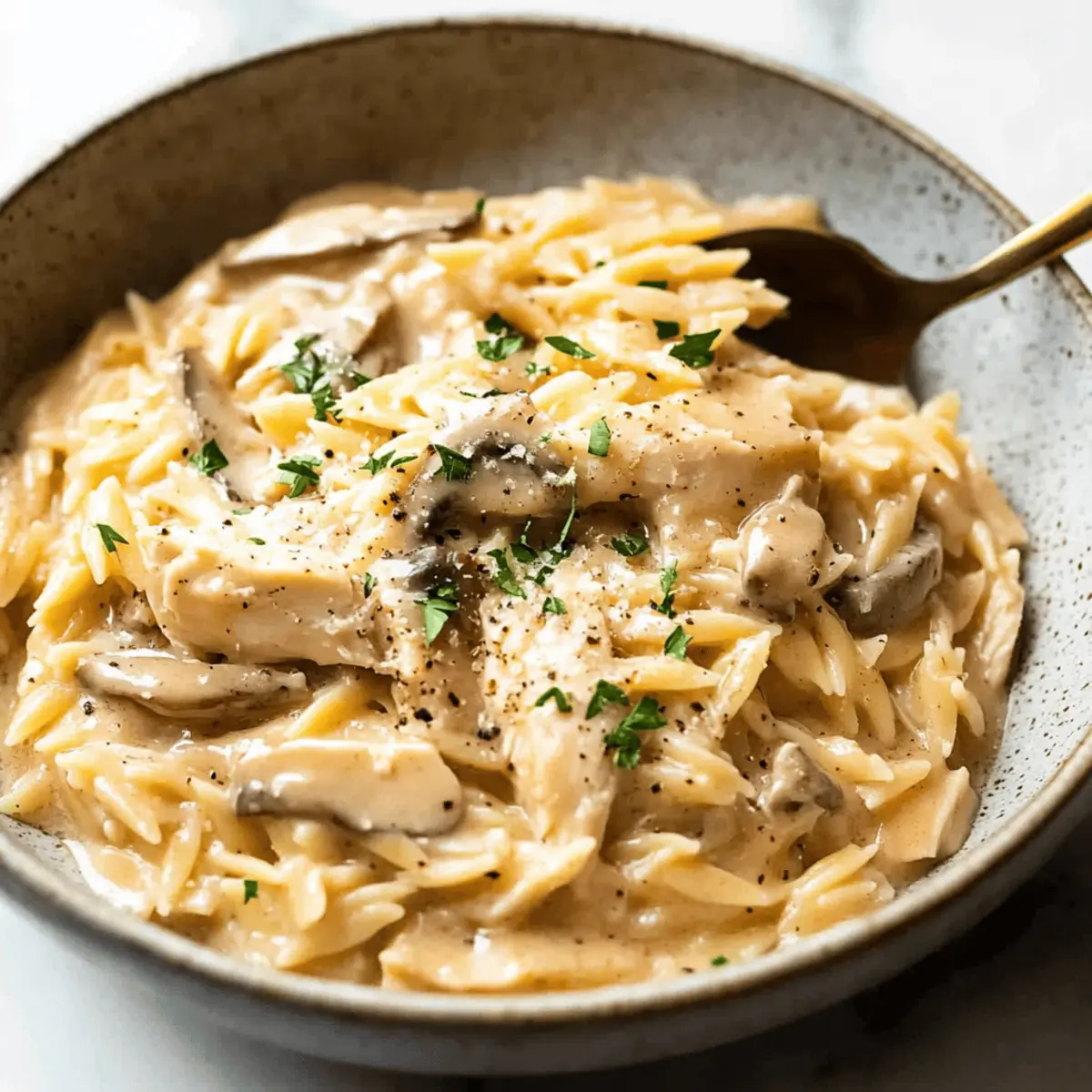 Chicken Marsala Orzo llqtif