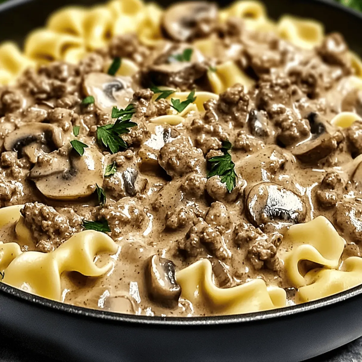 Creamy Ground Beef Stroganoff kai044